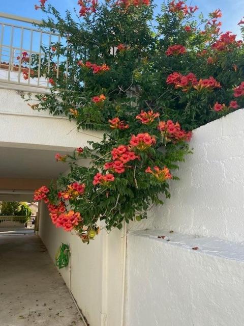 Spata Lykourgos Homes エクステリア 写真