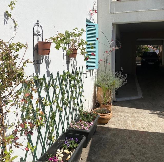 Spata Lykourgos Homes エクステリア 写真
